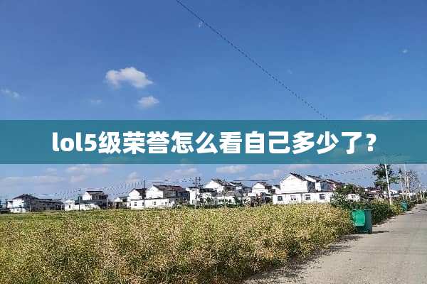 lol5级荣誉怎么看自己多少了？