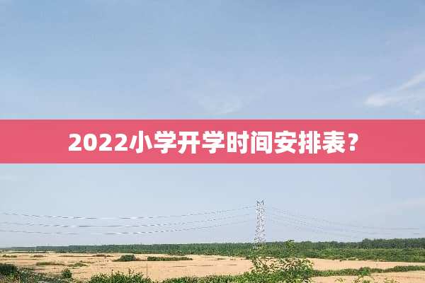 2022小学开学时间安排表？