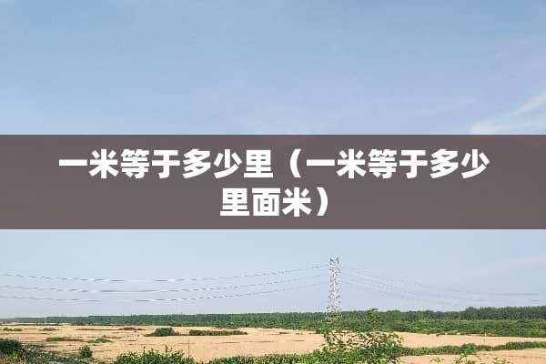 一米等于多少里（一米等于多少里面米）