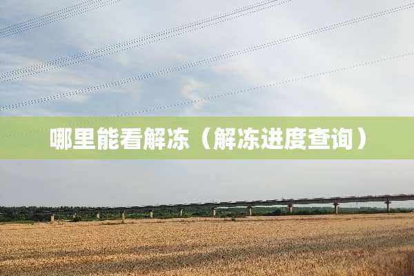 哪里能看解冻（解冻进度查询）