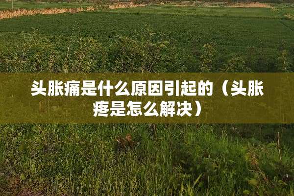 头胀痛是什么原因引起的（头胀疼是怎么解决）