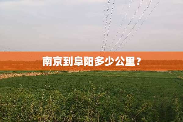南京到阜阳多少公里？