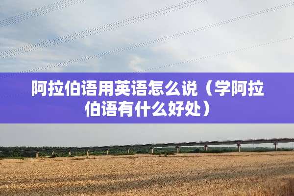 阿拉伯语用英语怎么说（学阿拉伯语有什么好处）