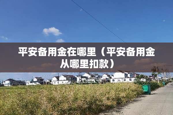 平安备用金在哪里（平安备用金从哪里扣款）