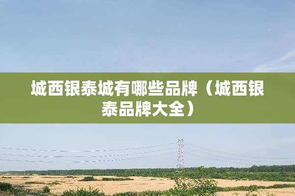 城西银泰城有哪些品牌（城西银泰品牌大全）
