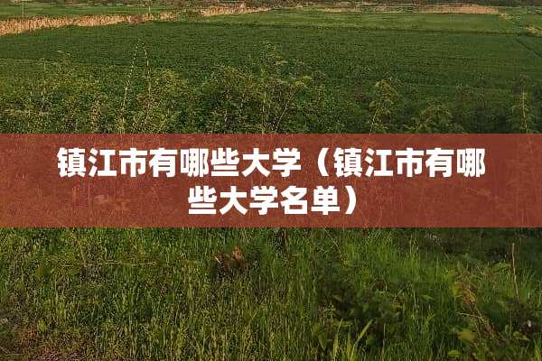 镇江市有哪些大学（镇江市有哪些大学名单）