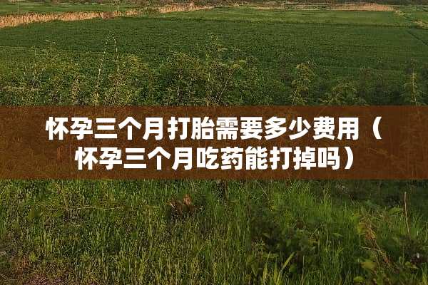 怀孕三个月打胎需要多少费用（怀孕三个月吃药能打掉吗）