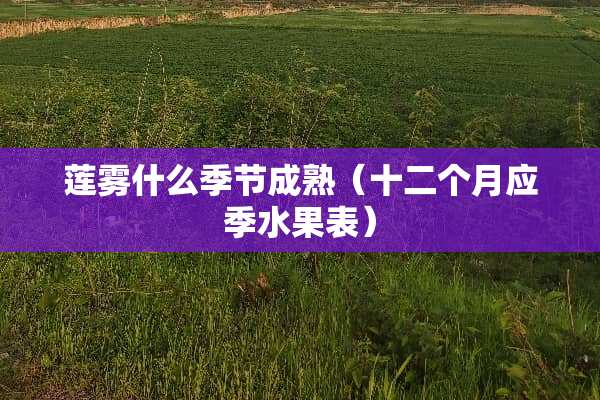莲雾什么季节成熟（十二个月应季水果表）