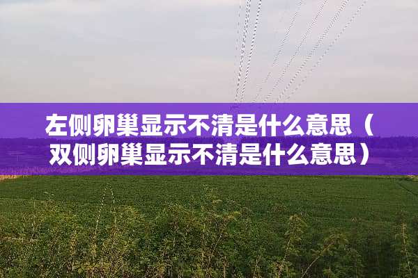 左侧卵巢显示不清是什么意思（双侧卵巢显示不清是什么意思）