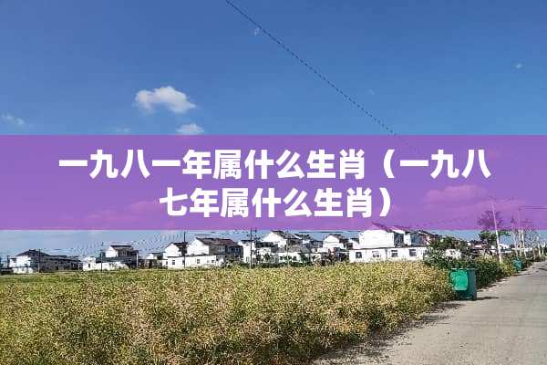 一九八一年属什么生肖（一九八七年属什么生肖）