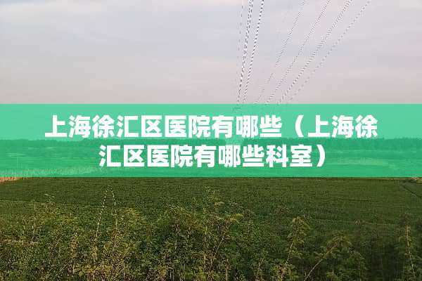 上海徐汇区医院有哪些（上海徐汇区医院有哪些科室）