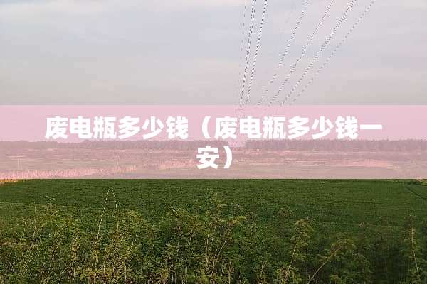 废电瓶多少钱（废电瓶多少钱一安）