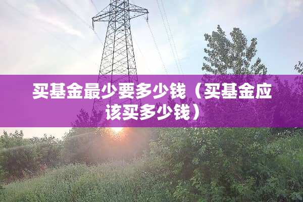 买基金最少要多少钱（买基金应该买多少钱）