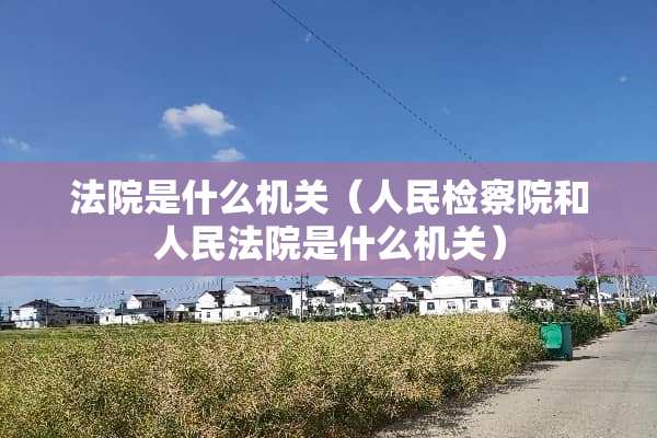 法院是什么机关（人民***和人民法院是什么机关）