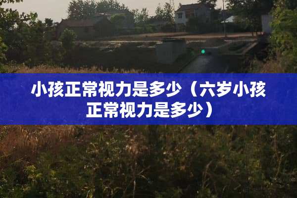小孩正常视力是多少（六岁小孩正常视力是多少）