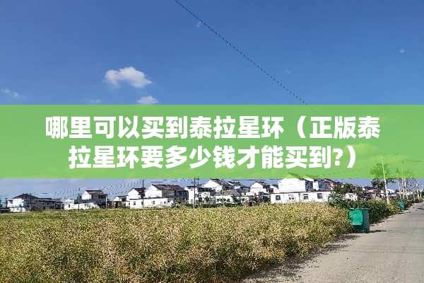 哪里可以买到泰拉星环（正版泰拉星环要多少钱才能买到?）