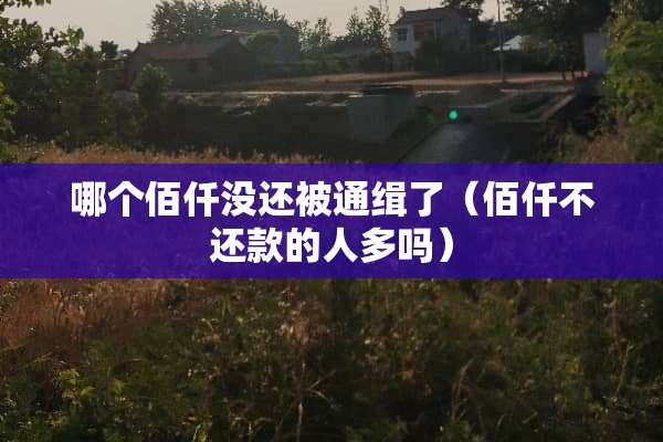 哪个佰仟没还被通缉了（佰仟不还款的人多吗）