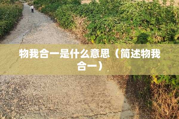 物我合一是什么意思（简述物我合一）