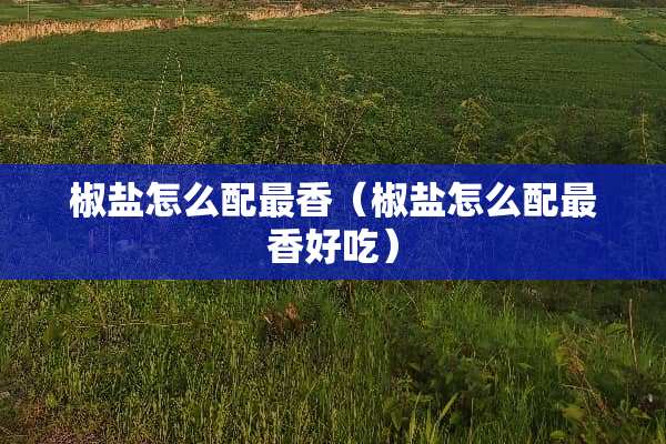椒盐怎么配最香（椒盐怎么配最香好吃）