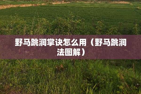 野马跳涧掌诀怎么用（野马跳涧法图解）