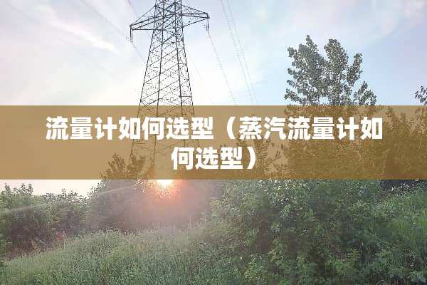 流量计如何选型（蒸汽流量计如何选型）