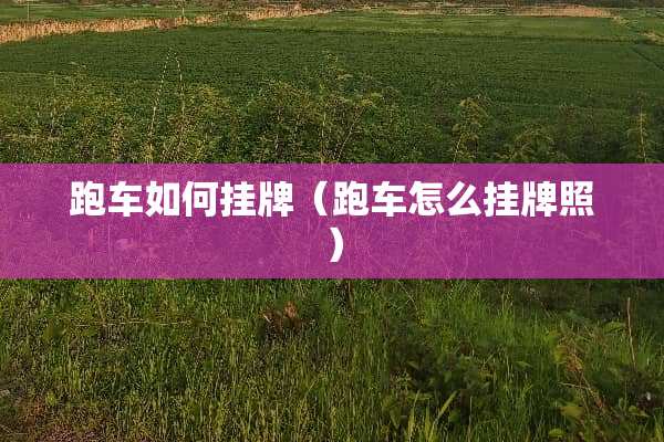 跑车如何挂牌（跑车怎么挂牌照）