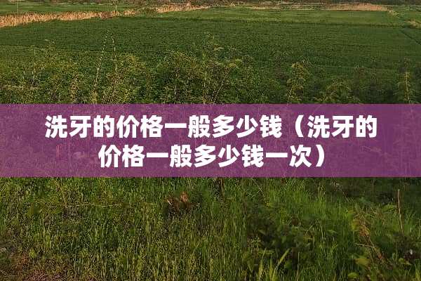 洗牙的价格一般多少钱（洗牙的价格一般多少钱一次）