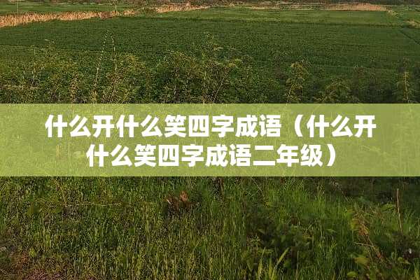 什么开什么笑四字成语（什么开什么笑四字成语二年级）