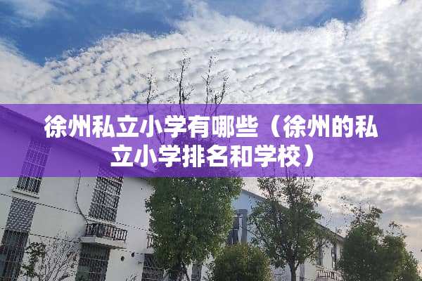 徐州私立小学有哪些（徐州的私立小学排名和学校）
