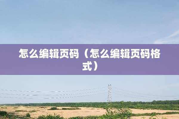 怎么编辑页码（怎么编辑页码格式）