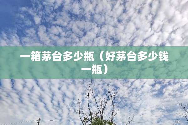 一箱茅台多少瓶（好茅台多少钱一瓶）