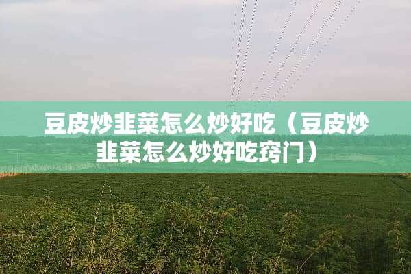 豆皮炒韭菜怎么炒好吃（豆皮炒韭菜怎么炒好吃窍门）