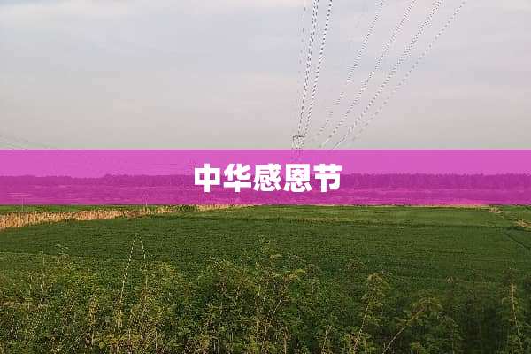 中华感恩节