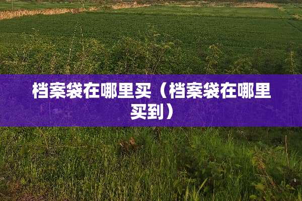 档案袋在哪里买（档案袋在哪里买到）