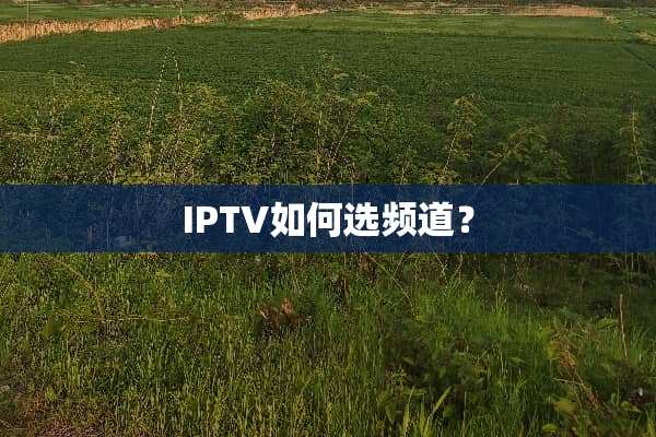 IPTV如何选频道？