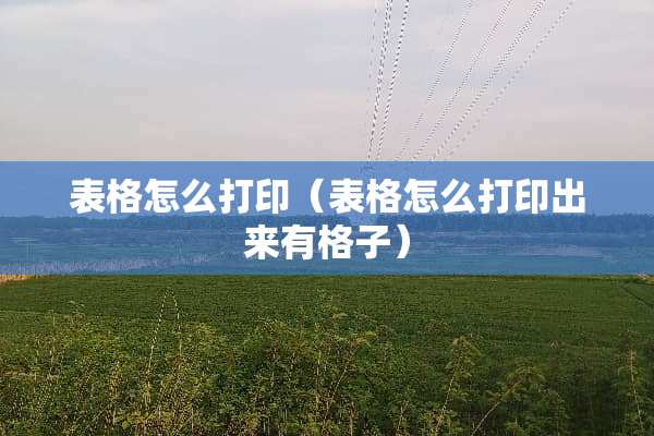 表格怎么打印（表格怎么打印出来有格子）