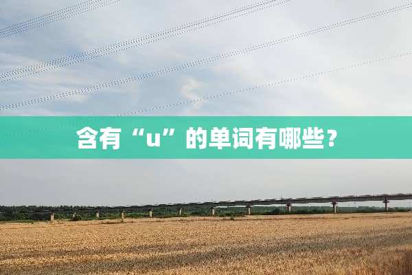 含有“u”的单词有哪些？