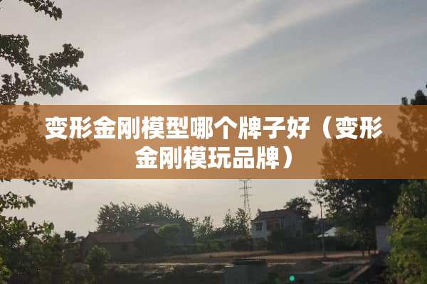 变形金刚模型哪个牌子好（变形金刚模玩品牌）
