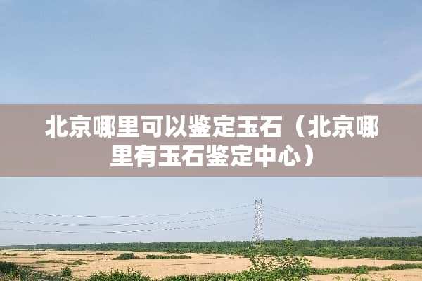北京哪里可以鉴定玉石（北京哪里有玉石鉴定中心）