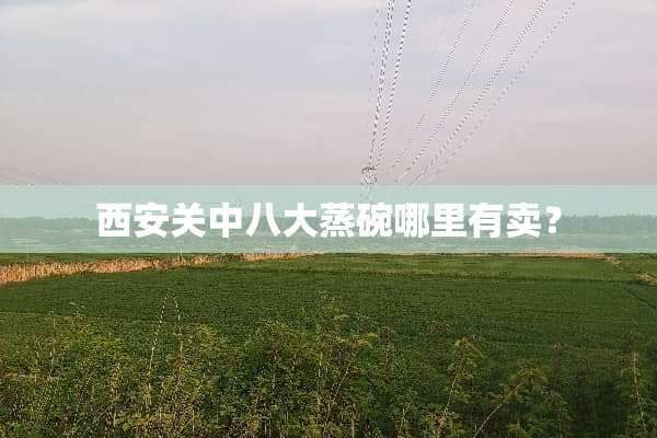 西安关中八大蒸碗哪里有卖？