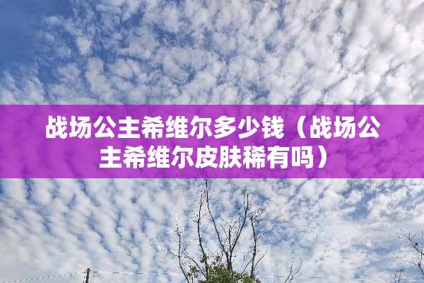 战场公主希维尔多少钱（战场公主希维尔皮肤稀有吗）