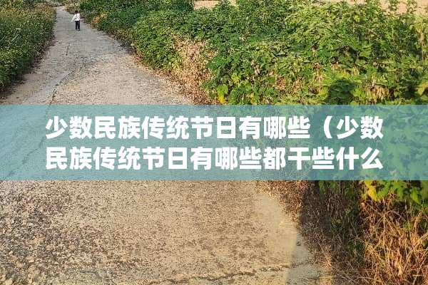 少数民族传统节日有哪些（少数民族传统节日有哪些都干些什么）
