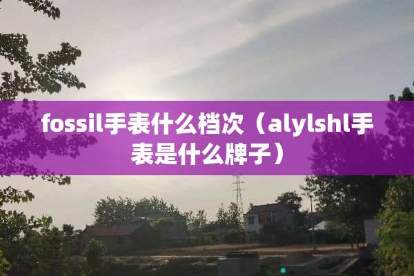 fossil手表什么档次（alylshl手表是什么牌子）