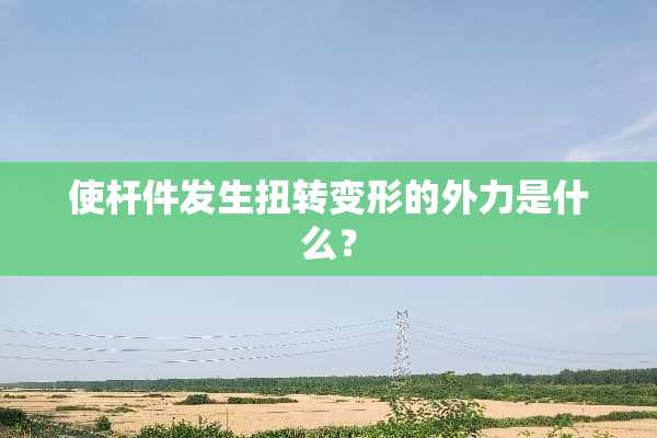 使杆件发生扭转变形的外力是什么？