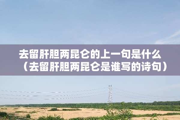 去留肝胆两昆仑的上一句是什么（去留肝胆两昆仑是谁写的诗句）