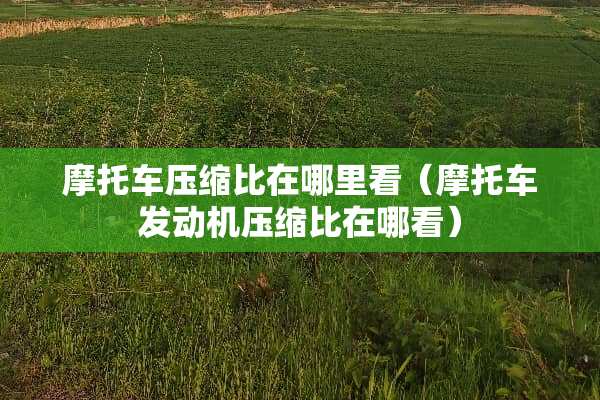 摩托车压缩比在哪里看（摩托车发动机压缩比在哪看）