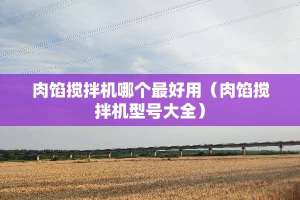 肉馅搅拌机哪个最好用（肉馅搅拌机型号大全）