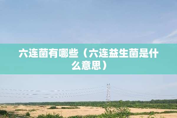 六连菌有哪些（六连益生菌是什么意思）