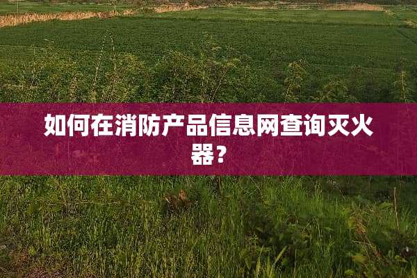 如何在消防产品信息网查询灭火器？