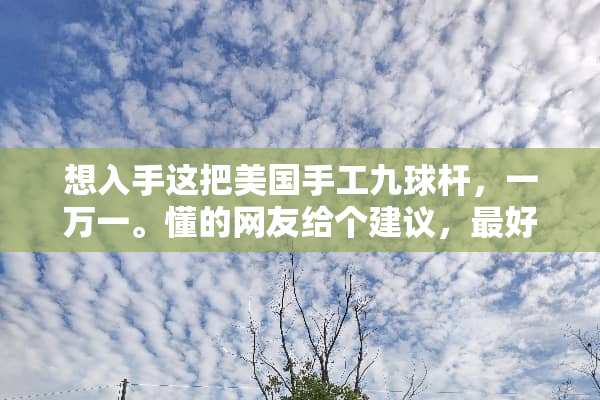 想入手这把美国手工九球杆，一万一。懂的网友给个建议，最好详细些，感觉这杆子如何？